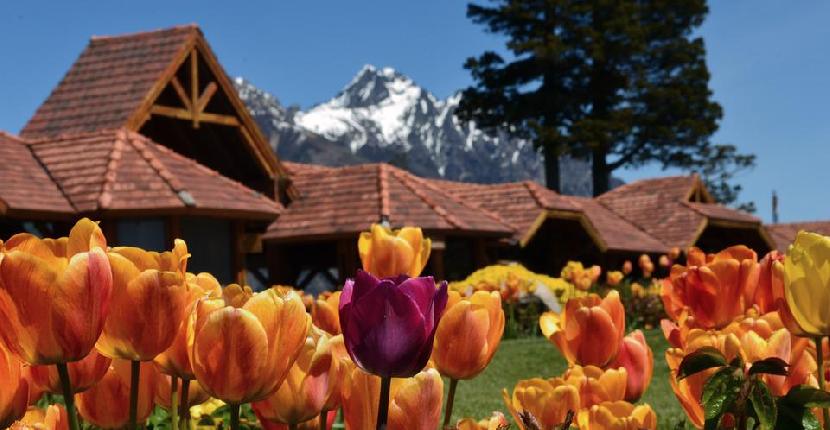 Las 5 mejores cosas que hacer en Bariloche en invierno