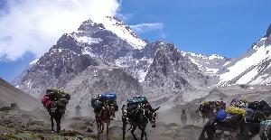 Aconcagua, curiosidades del pico más alto de América