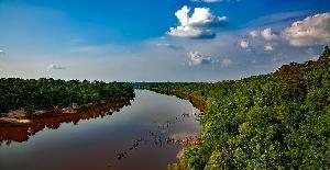 Curiosidades del río Alabama, Estados Unidos